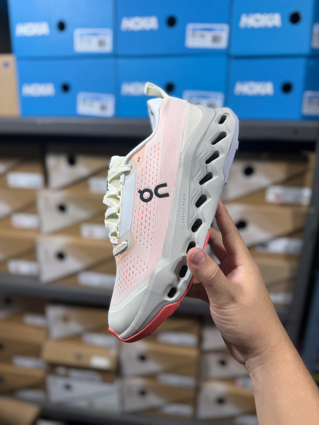 ONCLOUD  CLOUDSURFER DAMA