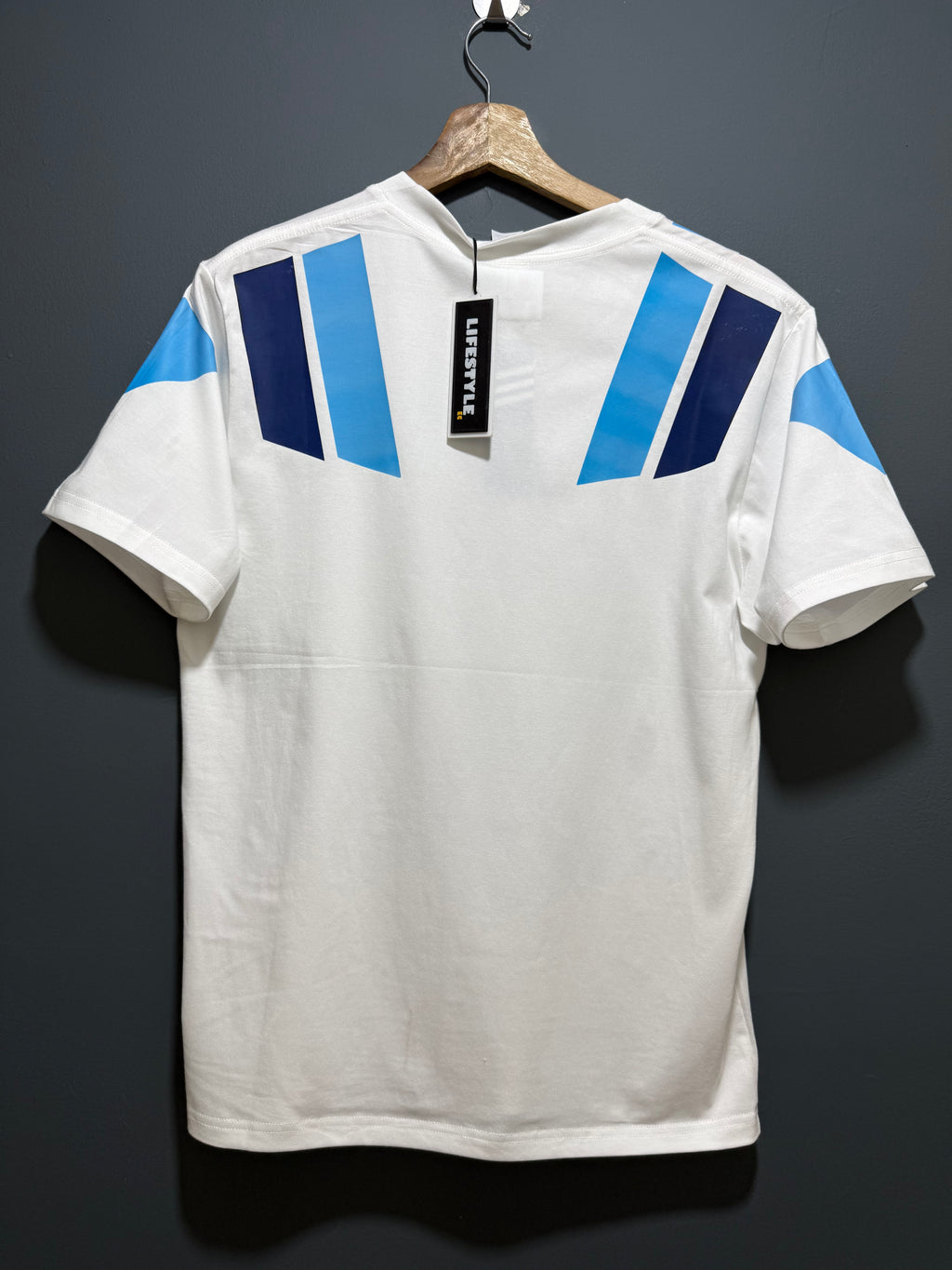ARGENTINA | ALGODÓN