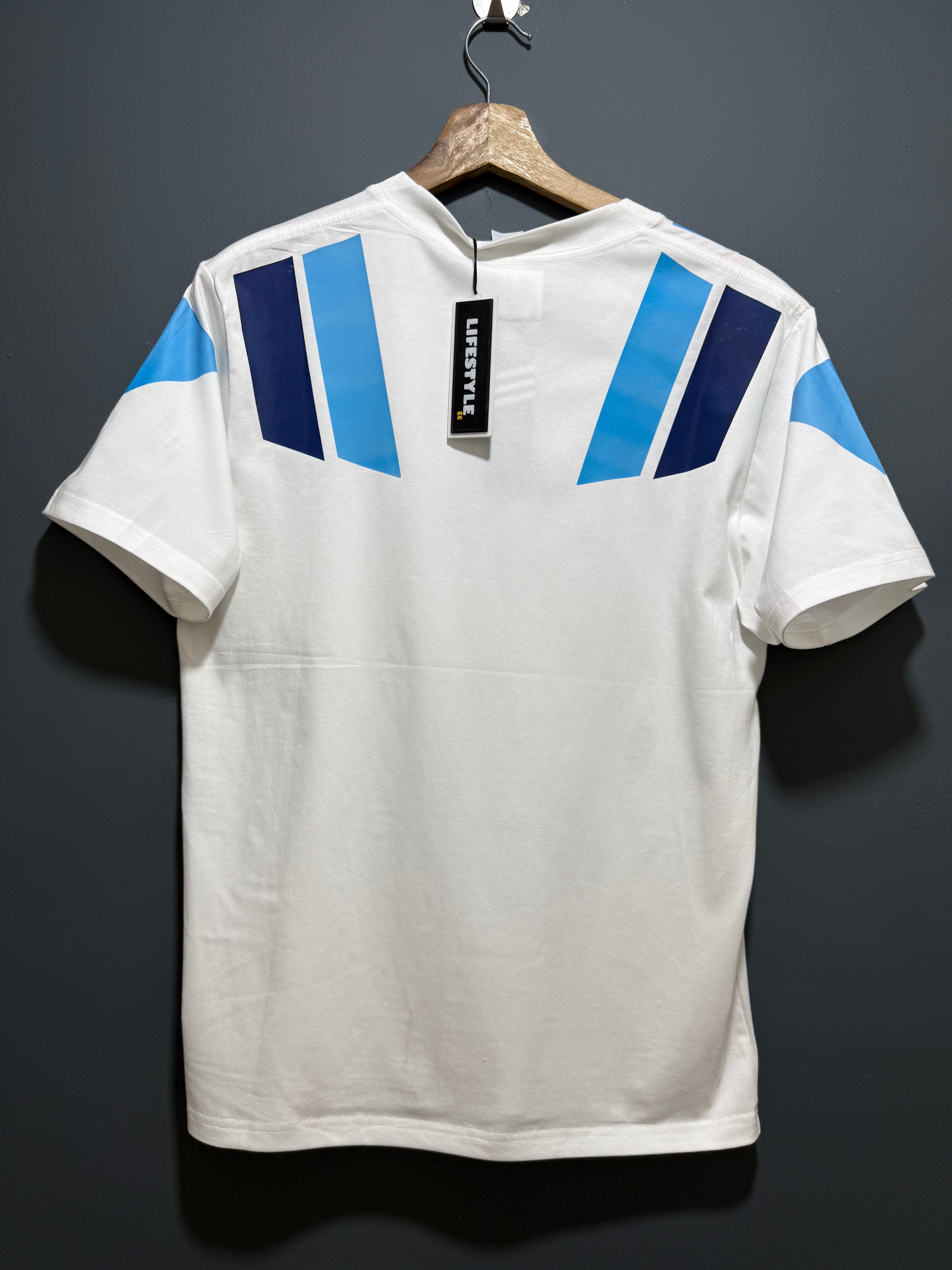 ARGENTINA | ALGODÓN
